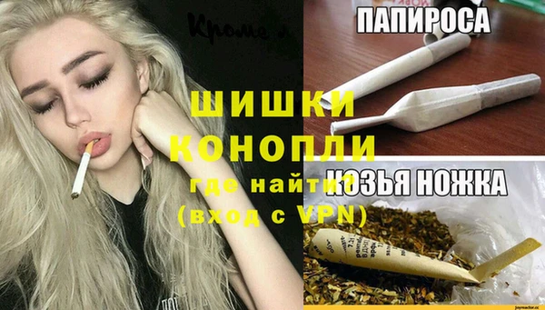 стафф Арсеньев