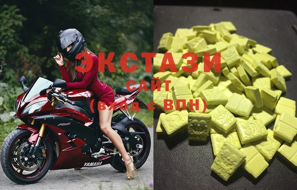 стафф Арсеньев