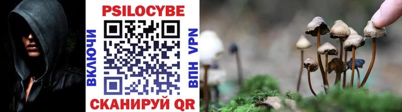 Псилоцибиновые грибы мухоморы  Старица 